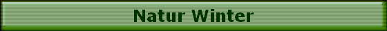 Natur Winter