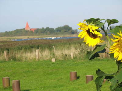 Blick Richtung Kirchdorf